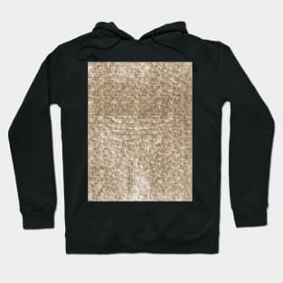 Dragon Skin Hoodie